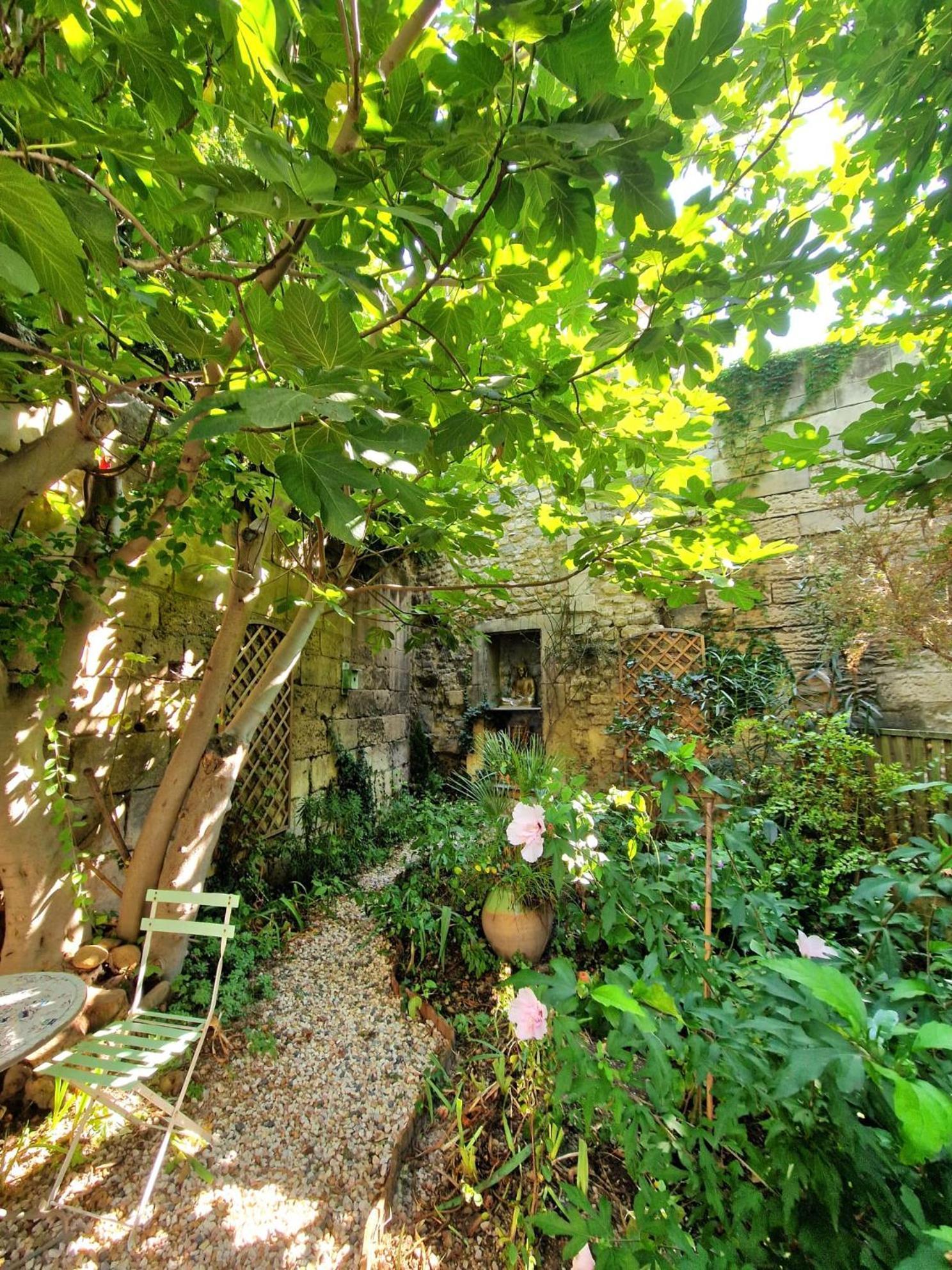 Ferienwohnung Capucines, Un Jardin Secret Dans Le Centre Historique Arles Exterior foto